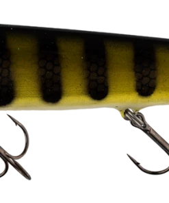 Chaos Tackle 10" Mini X