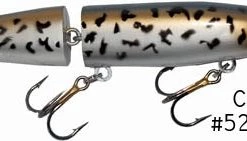 Joe Bucher Depth Raider 8