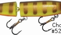 Joe Bucher Depth Raider 8