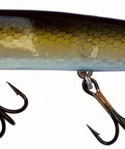 Joe Bucher Shallow Raider 5