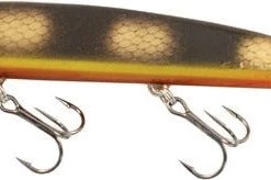Joe Bucher Shallow Raider 7"
