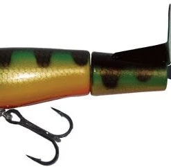 Joe Bucher Top Radier 8