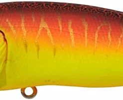 TOP WATER BAITS Megabass Pop X