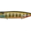 Megabass Dog-X Diamante Rattle TOP WATER BAITS