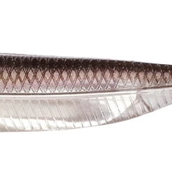 Fish Arrow Flash J Straight Tail Shad DROP SHOTS