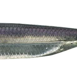 Fish Arrow Flash J Straight Tail Shad DROP SHOTS