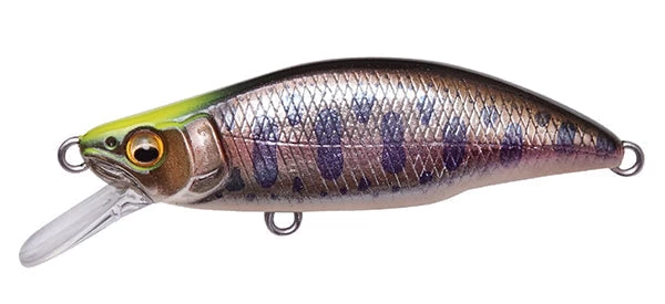 Megabass Great Hunting Humpback GH51 JERKBAITS 3 Megabass Great Hunting Humpback GH51 JERKBAITS