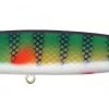 MUSKY Esox Hell Hound 10"