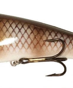 Musky Innovations Musky Innovation Swimmin Dawg 8