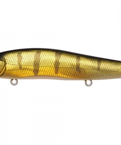 Megabass Vision Oneten