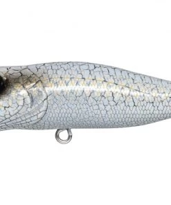 TOP WATER BAITS Megabass Pop X