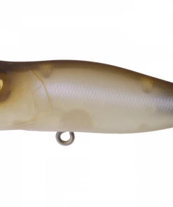 TOP WATER BAITS Megabass Pop X