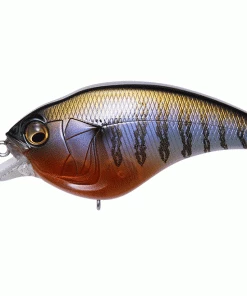 CRANKBAITS Megabass Sonicside Crankbait 23 CRANKBAITS Megabass Sonicside Crankbait