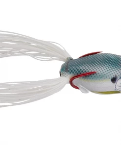 Scum Frog Launch Series FROGS