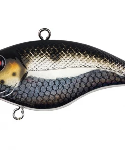 LIPLESS CRANKBAIT Berkley Warpig 20 LIPLESS CRANKBAIT Berkley Warpig