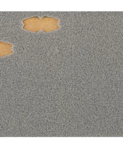 ACCESSORIES Zappu Floating Board