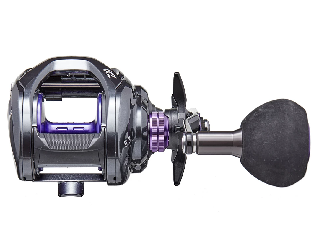 MUSKY REELS Daiwa Prorex Casting Reel 5 MUSKY REELS Daiwa Prorex Casting Reel