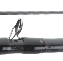DAIWA CASTING RODS Daiwa Rebellion Casting Rod