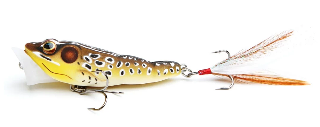 TOP WATER BAITS LiveTarget Frog Popper 6 TOP WATER BAITS LiveTarget Frog Popper