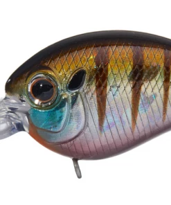 Ever Green International Evergreen Piccolo Crankbait CRANKBAITS