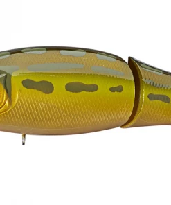 TOP WATER BAITS Megabass I-Loud