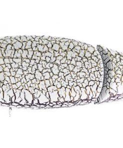 TOP WATER BAITS Megabass I-Loud