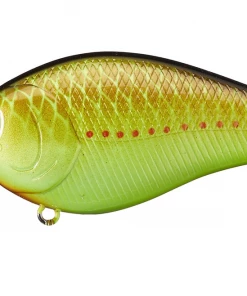 Lucky Craft LC 2.5 CRANKBAITS 19 Lucky Craft LC 2.5 CRANKBAITS