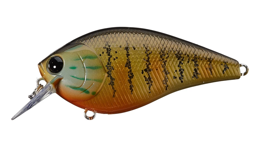 Lucky Craft LC 2.5 CRANKBAITS 8 Lucky Craft LC 2.5 CRANKBAITS