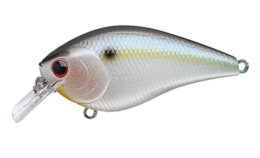 Lucky Craft LC 2.5 CRANKBAITS 10 Lucky Craft LC 2.5 CRANKBAITS