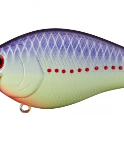 Lucky Craft LC 2.5 CRANKBAITS 24 Lucky Craft LC 2.5 CRANKBAITS