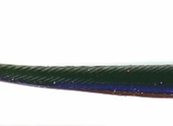 Roboworm Curly Tail Worm FINESSE WORMS