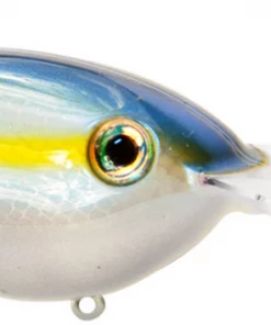 CRANKBAITS Strike King Pro Model 6XD