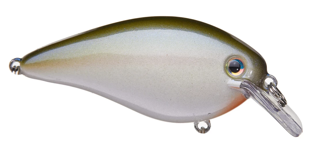 CRANKBAITS Strike King KVD 2.5 31 CRANKBAITS Strike King KVD 2.5