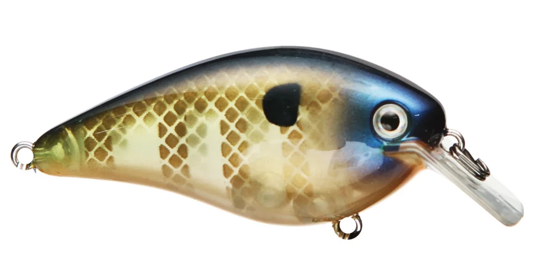 CRANKBAITS Strike King KVD 2.5 35 CRANKBAITS Strike King KVD 2.5