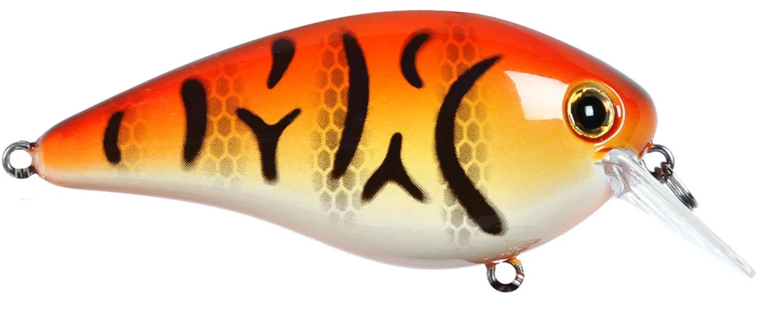 CRANKBAITS Strike King KVD 2.5 36 CRANKBAITS Strike King KVD 2.5