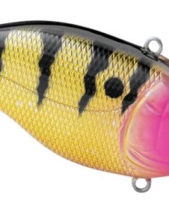LIPLESS CRANKBAIT SPRO Aruku Shad 75