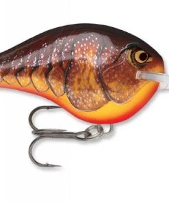 Rapala DT10 Crankbait CRANKBAITS 36 Rapala DT10 Crankbait CRANKBAITS