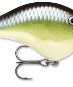 Rapala DT10 Crankbait CRANKBAITS 37 Rapala DT10 Crankbait CRANKBAITS