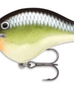 Rapala DT6 Crankbait CRANKBAITS
