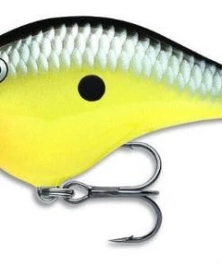 Rapala DT8 Crankbait