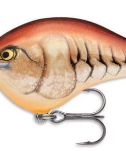 Rapala DT8 Crankbait