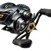 DAIWA CASTING REEL Daiwa Steez A TWS Casting Reel