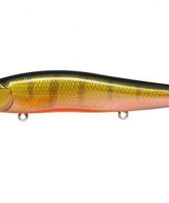 Megabass Vision Oneten