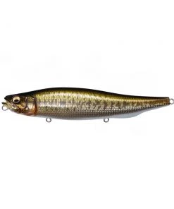 Megabass Megadog 11 Megabass Megadog