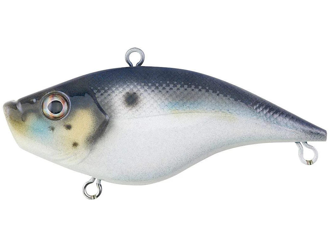 LIPLESS CRANKBAIT Berkley Warpig 5 LIPLESS CRANKBAIT Berkley Warpig