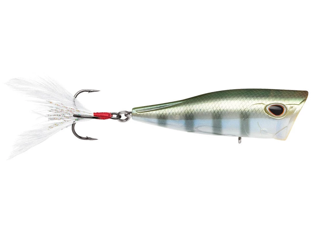 Storm Arashi Rattling Cover Pop 4 Storm Arashi Rattling Cover Pop