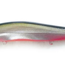 Megabass Vision Oneten