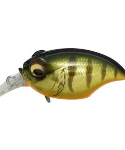 CRANKBAITS Megabass SR-X Griffon 11 CRANKBAITS Megabass SR-X Griffon