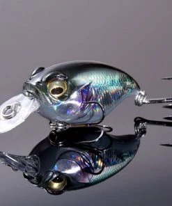 Megabass GG Biwahigai (SP-C) *Limit Of 2 Per Item* 12 Megabass GG Biwahigai (SP-C) *Limit Of 2 Per Item*