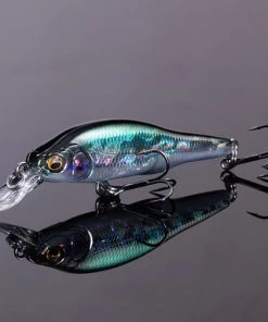 Megabass GG Biwahigai (SP-C) *Limit Of 2 Per Item* 13 Megabass GG Biwahigai (SP-C) *Limit Of 2 Per Item*